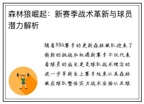 森林狼崛起：新赛季战术革新与球员潜力解析